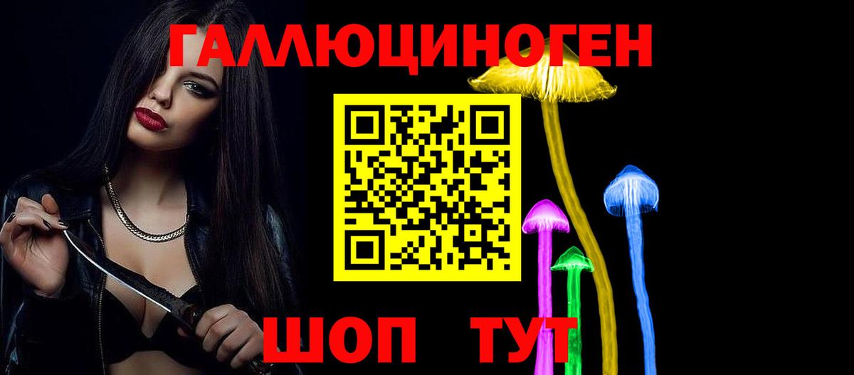 Верхняя Пышма  Псилоцибиновые грибы MAGIC MUSHROOMS  Вход с VPN 